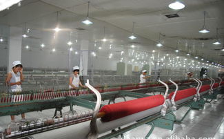 高檔精品時尚品牌羊絨衫誠招代理加盟，廠家直供，優價共贏