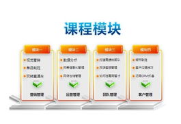 專業(yè)賦能電商未來(lái) 網(wǎng)盈機(jī)構(gòu)一站式服務(wù)引領(lǐng)行業(yè)新篇章